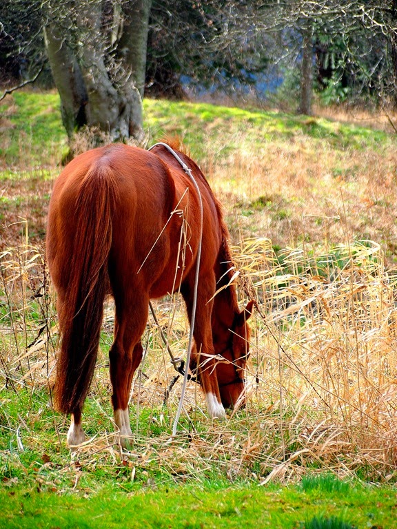 [17%2520March%25206%255B3%255D.jpg]