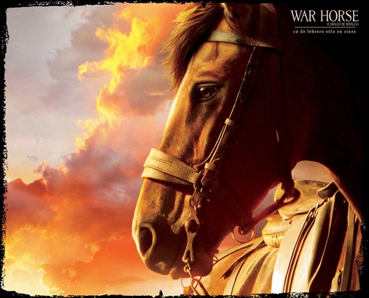 war-horse