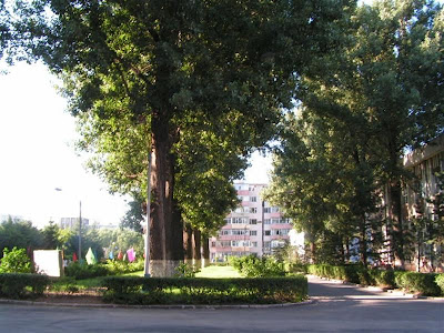 Jida south lake campus in autumn