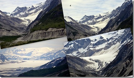Search results for 2013 Cruise to Alaska