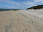 Shela Beach