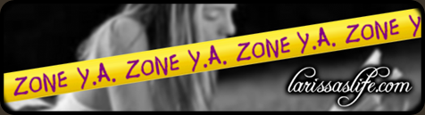 YA ZONE slide framed