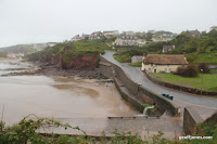 IMG_9355.JPG Photo