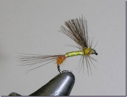 clip_image020 clip_image020