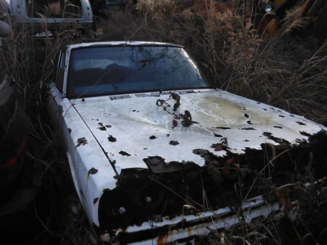 [japan-graveyard-old-cars-35.png]