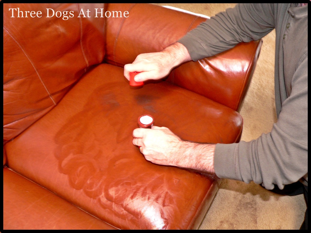 [couch-47.jpg]