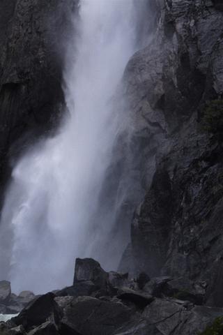 Yosemite Hantavirus