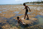 Praia do Forte 033.JPG