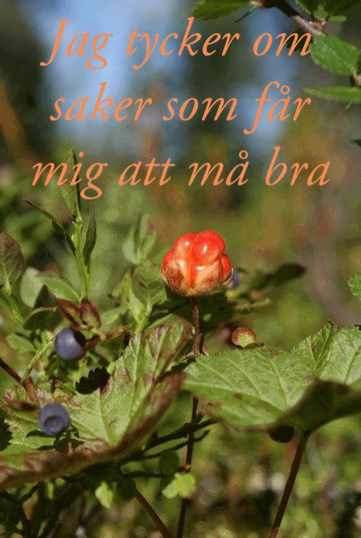 jag-tycker-om jag-tycker-om
