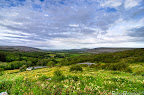 This was on top of Ireland's version of the crooked road, looking over the Burren. on Tuesday, July 19, 2011 at 1:09 PM. Taken with my NIKON D7000 using f/5.6 at 1/125 sec on ISO 100 with my 11-16 mm f/2.8 lens.