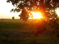 IMG_2925.JPG Photo