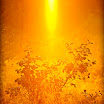 Sednev_20080907_19.jpg