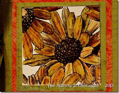 Magenta Sunflower Closeup