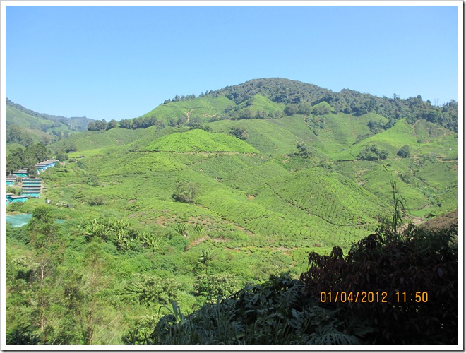 IMG_0358 IMG_0358