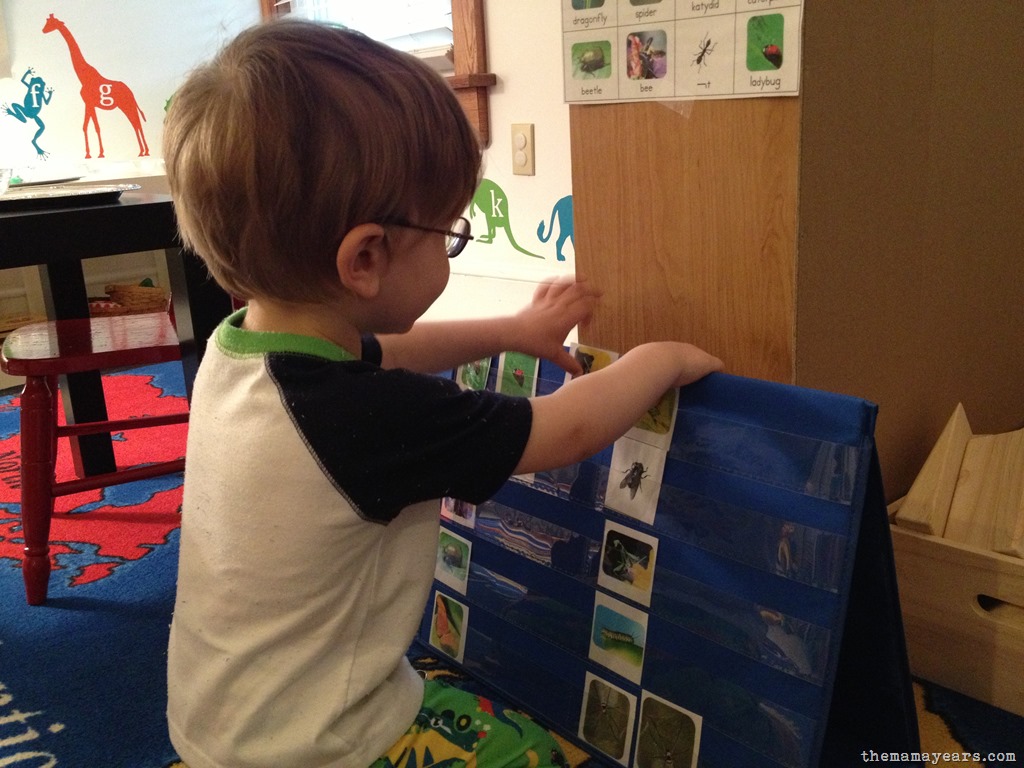 [5.13.13-tot-school-bugs43.jpg]