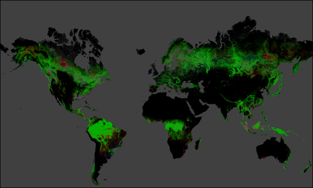 Change in global forest cover between 2000 and 2012. Green shows forest cover that hasn't changed at all. Black shows non-forest. Red shows forest loss. Blue shows forest gain. Magenta shows areas that are regrowing. Graphic: Hansen, et al., 2013