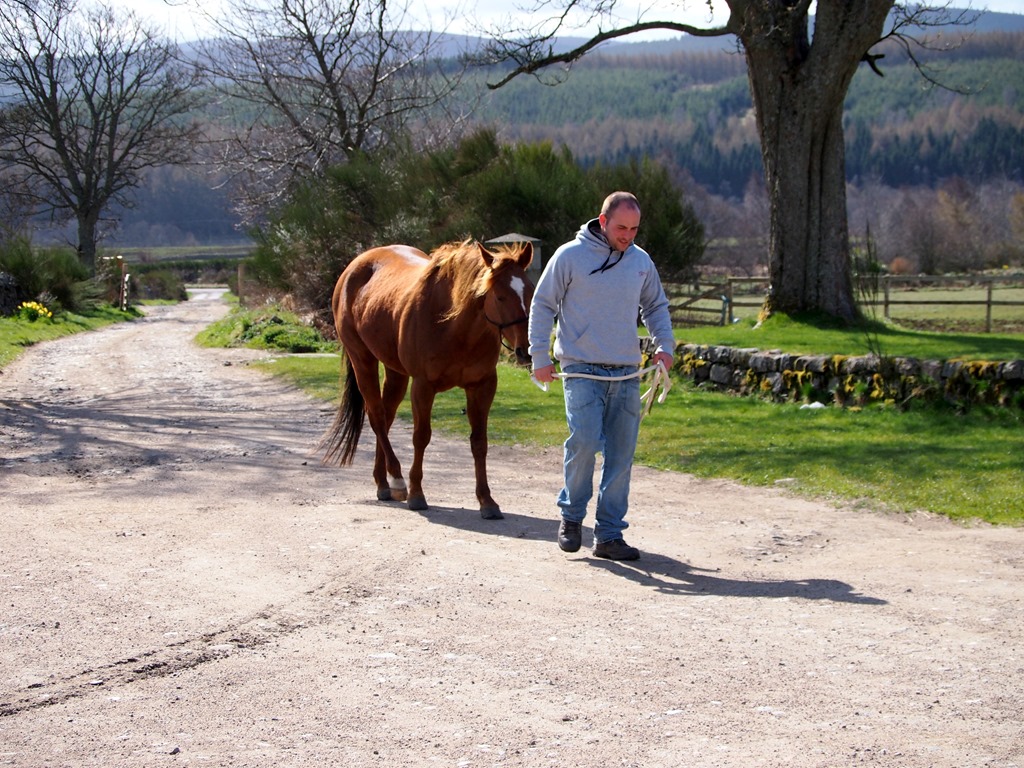 [1%2520May%25205%252001-05-2013%252009-26-26%25204032x3024%255B3%255D.jpg]