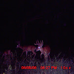 MDGC0004.JPG