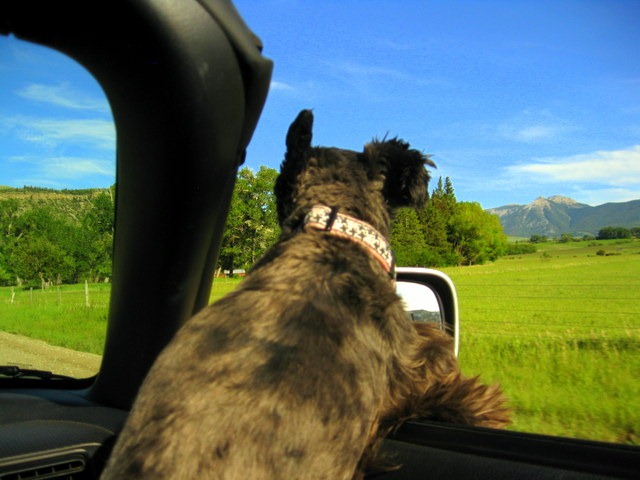 [IMG_2400%255B3%255D.jpg]