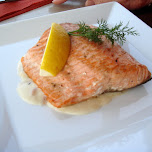 salmon steak in Oud-IJmuiden, Netherlands 