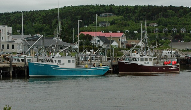 [DSC_0218%255B4%255D.jpg]