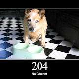 204.jpg