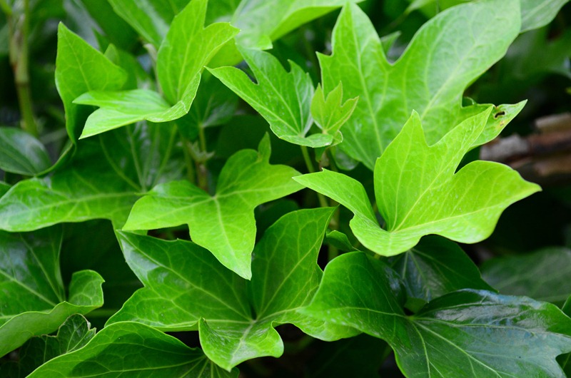 [chateau%252043%255B4%255D.jpg]