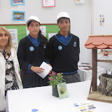 Feria Melipilla