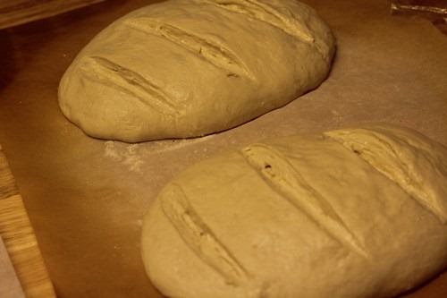 [sourdough_bread0275.jpg]