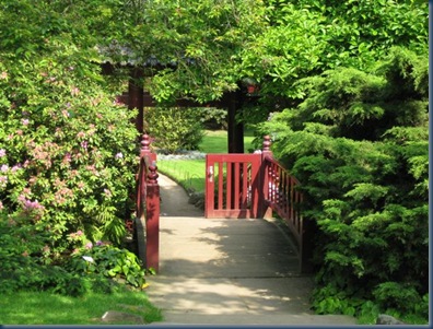 japanischer Garten und Rheinauen 006