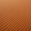 DSC_5875.JPG