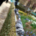 20100402_116.JPG