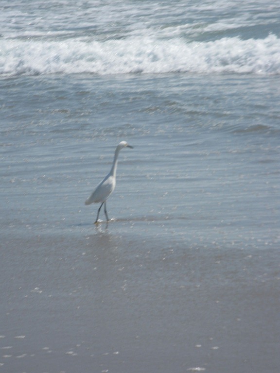 [california%2520spring%2520break%25202012%25201140114%255B5%255D.jpg]