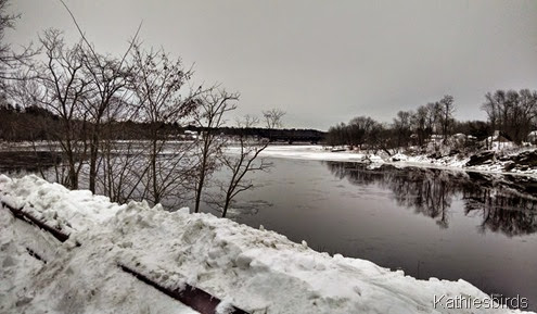 3. Androscoggin River looking NE on Bowdoin Isle 1-6-15 cell pic