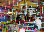 Outubro 2010 149.JPG