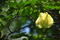 DSC_5894.JPG
