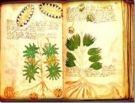 manuscrito de Voynich