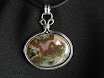Mossy Plume Agate - Sold