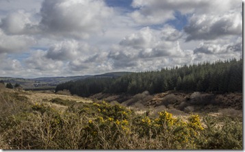 01.Sliabh Luachra 01.Sliabh Luachra