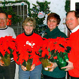 Christmas Poinsettias