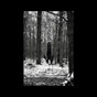 Svreca_Obscur Svreca_Obscur