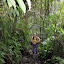 Gill in the forest