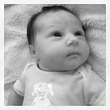 Stellas First Week