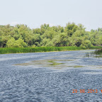 DSCN8182.JPG