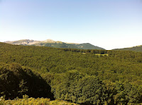 IMG_1448.JPG Photo