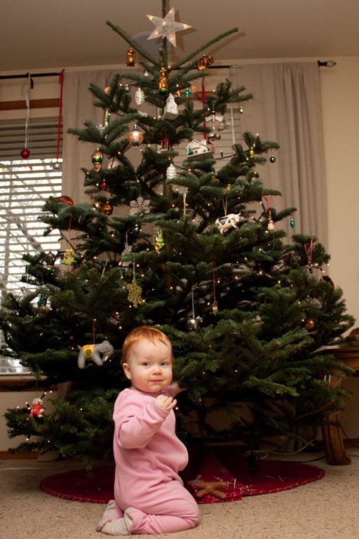 [20111216-IMG_9120%255B3%255D.jpg]