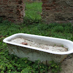 DSCF2416.JPG