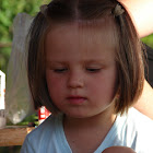 DSC03221.JPG