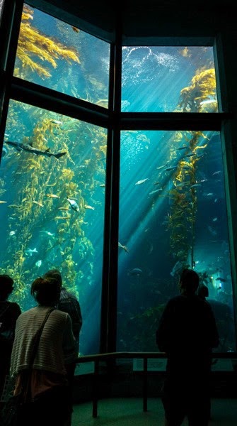 [20150313-DSC00280-2%255B4%255D.jpg]