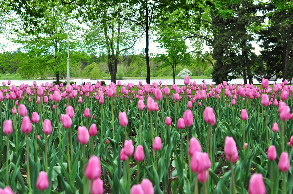 [DSC_98109.jpg]